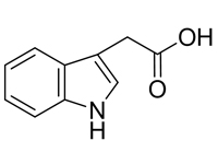 3-吲哚<em>乙酸</em>，CP，97%